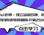 Daniel老师·独立站综合课,快速开启你的跨境电商道路-价值2599元-风淘社