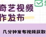 爱奇艺号视频发布,每天只需花几分钟即可发布视频,简单操作收入过万【教程+涨粉攻略】-风淘社