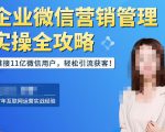企业微信营销管理实操全攻略,链接11亿微信用户,轻松引流获客!-风淘社