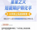 瑶瑶·自然流短视频IP孵化第二期,14天线上实战训练营,赋能100个人成为有数据能赚钱的独立IP孵化手-风淘社