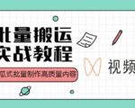 视频号批量搬运实战操作运营赚钱教程,傻瓜式批量制作高质量内容【附视频教程+PPT】-风淘社