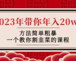 韭菜-联盟·2023年带你年入20w+方法简单粗暴,一个教你割韭菜的课程-风淘社