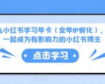 厦九九小红书学习年卡(全年IP孵化),沉浸式学习,一起成为有影响力的小红书博主-风淘社