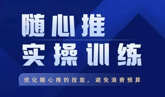 飞哥·随心推实操训练,优化随心推投放,避免浪费预算-风淘社