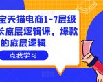 大圣淘宝天猫电商1-7层级盈利增长底层逻辑课,爆款的底层逻辑-风淘社