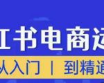顽石小红书电商高阶运营课程,从入门到精通,玩法流程持续更新-风淘社