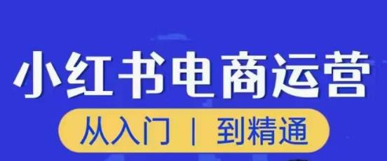 顽石小红书电商高阶运营课程,从入门到精通,玩法流程持续更新-风淘社