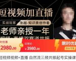 张越·短视频+直播,自然流三频共振起号实操课,短视频所有流量玩法讲解-风淘社
