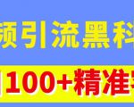 视频引流黑科技玩法,不花钱推广,视频播放量达到100万+,每日100+精准客源-风淘社