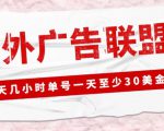 外面收费1980的最新国外LEAD广告联盟搬砖项目,单号一天至少30美金【详细玩法教程】-风淘社