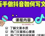 新手做抖音如何写文案,手把手实操如何拆解热门文案-风淘社