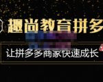 趣尚教育·拼多多运营实操VIP特训营,让拼多多商家快速成长-价值3180元-风淘社