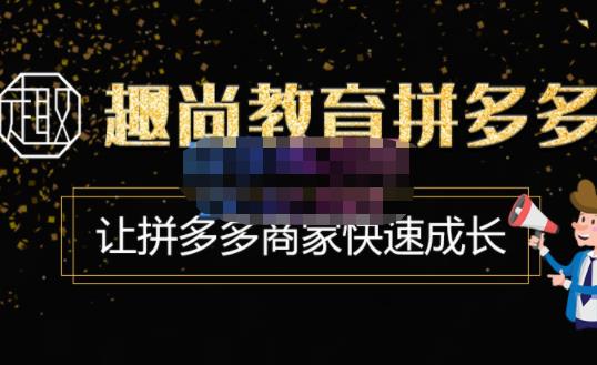 趣尚教育·拼多多运营实操VIP特训营,让拼多多商家快速成长-价值3180元-风淘社