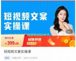 小秋·短视频文案实操课,从0到1教你做短视频的经验技巧-风淘社