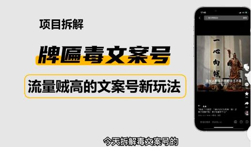 2023抖音快手毒文案新玩法,牌匾文案号,起号快易变现-风淘社