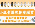 小红书爆涨粉变现营,教你打造爆款笔记,年涨粉20w+月入20w-风淘社
