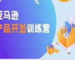 亚马逊产品开发训练营,能爆单的产品开发方法,助你突出重围-风淘社