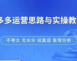 拼多多店铺运营思路与实操教程,快速学会拼多多开店和运营,少踩坑,多盈利-风淘社