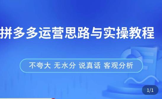 拼多多店铺运营思路与实操教程,快速学会拼多多开店和运营,少踩坑,多盈利-风淘社