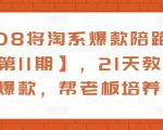 108将淘系爆款陪跑营【第11期】,21天教运营打爆款,帮老板培养运营-风淘社