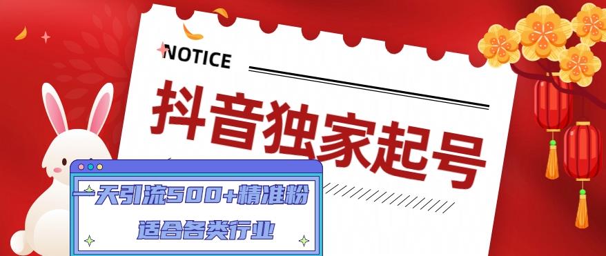 抖音独家起号,一天引流500+精准粉,适合各类行业(9节视频课)-风淘社
