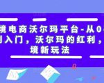 跨境电商沃尔玛平台-从0基础到入门,沃尔玛的红利,跨境新玩法-风淘社