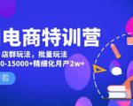 美团电商特训营:美团·店群玩法,无脑铺货月产出6000-15000+精细化月产2w+-风淘社