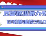 豆瓣精准暴力引流,日引精准粉500+【12课时】-风淘社