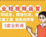 5套·美业短视频运营课从场景到话术·精准引流·吸金文案工具·销售闭环等-风淘社
