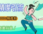 soul精准引流系列课程,一天引流100+精准粉,适合各类行业-风淘社