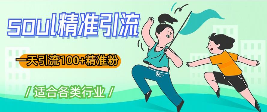 soul精准引流系列课程,一天引流100+精准粉,适合各类行业-风淘社