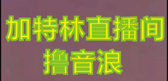 抖音加特林直播间搭建技术,抖音0粉开播,暴力撸音浪,2023新口子,每天800+【素材+详细教程】-风淘社
