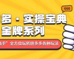 拼多多·实操宝典:金牌系列“小白到高手”带你全方位玩转拼多多各种玩法-风淘社