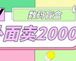 外面卖188抖音最火数码盲盒项目，自己搭建自己玩【全套源码+详细教程】-风淘社