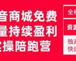 抖音商城搜索持续盈利陪跑成长营,抖音商城搜索从0-1、从1到10的全面解决方案-风淘社