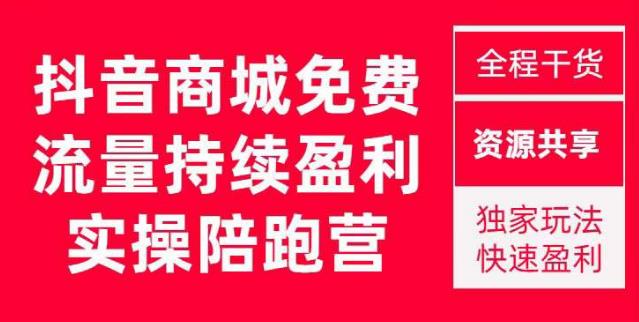 抖音商城搜索持续盈利陪跑成长营，抖音商城搜索从0-1、从1到10的全面解决方案-风淘社
