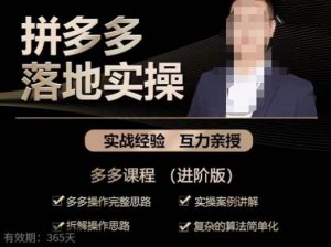 拼多多实战篇·落地实操:多多操作完整思路+实操案例讲解+拆解操作思路+复杂的算法简单化-风淘社