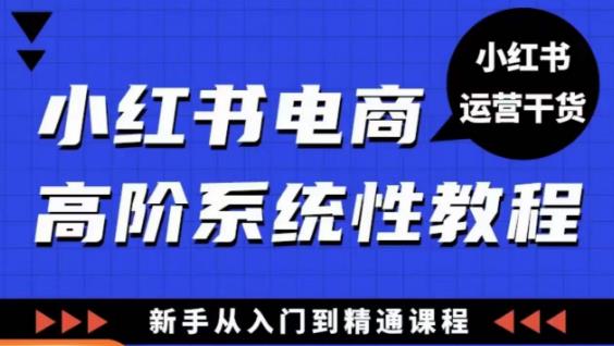 小红书电商高阶系统教程,新手从入门到精通系统课-风淘社