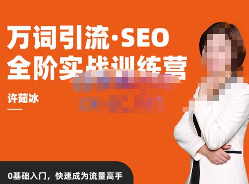 许茹冰·万词引流-SEO全阶实战训练营,0基础入门,快速成为流量高手-风淘社