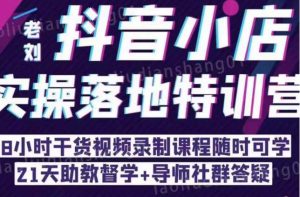 抖音小店实操落地特训营：抖音小店无货源精细化运营，抖店商品卡流量（22节）-风淘社