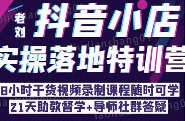 抖音小店实操落地特训营:抖音小店无货源精细化运营,抖店商品卡流量(22节)-风淘社