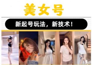 2023抖音快手短视频美女号课程制作玩法教程，美女号搬运新起号玩法，新技术（素材+教程）-风淘社