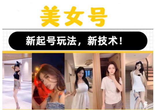 2023抖音快手短视频美女号课程制作玩法教程，美女号搬运新起号玩法，新技术（素材+教程）-风淘社