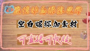 微信动态昵称设置方法,可抖音直播引流,日赚上百【详细视频教程+素材】-风淘社