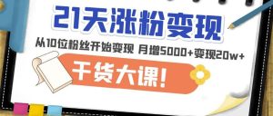 21天精准涨粉变现干货大课:从10位粉丝开始变现月增5000+变现20w+-风淘社