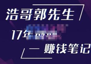 浩哥郭先生17年创业赚米笔记,打开你对很多东西的认知,让你知道原来赚钱或创业不单单是发力就行-风淘社