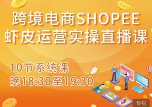 跨境电商Shopee虾皮运营实操直播课,从零开始学,入门到精通(10节系统课)-风淘社