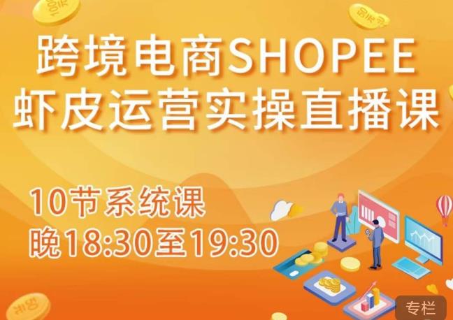 跨境电商Shopee虾皮运营实操直播课，从零开始学，入门到精通（10节系统课）-风淘社
