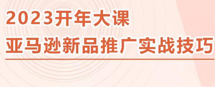 2023亚马逊新品推广实战技巧，线下百万美金课程的精简版，简单粗暴可复制，实操性强的推广手段-风淘社
