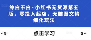 绅白不白·小红书无货源第五版,零投入起店,无脑图文精细化玩法-风淘社